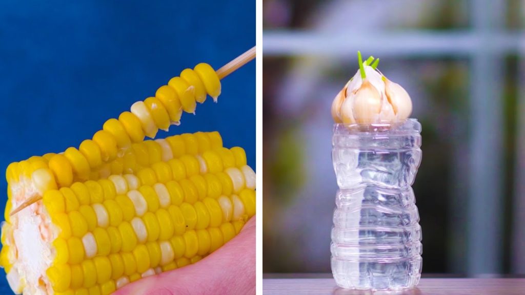 How to Replant Vegetables! | Gardening Hacks and Tips by Blossom