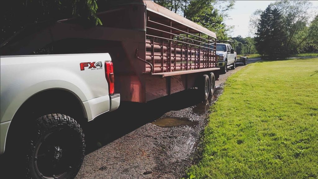 Roots and Refuge Farm: We Drove 1900 Miles to Bring These Dream Animals HOME! | VLOG | Roots and Refuge We Drove 1900 Miles to Bring These Dream Animals HOME! | VLOG | Roots and Refuge