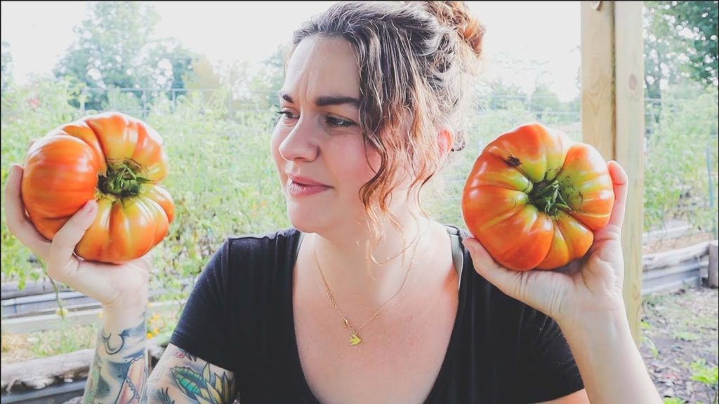 My Biggest One This Year | VLOG | Roots and Refuge