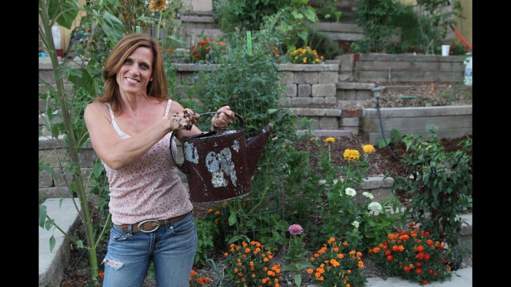 CaliKim: How to Make Compost Tea – Super Easy Method How to Make Compost Tea - Super Easy Method