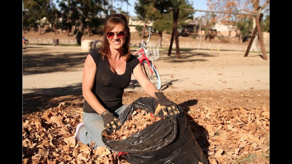 CaliKim: How to Prepare your Soil NOW for Spring – 5 Easy Steps How to Prepare your Soil NOW for Spring - 5 Easy Steps