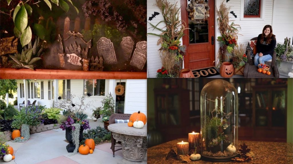 4 Halloween Projects with Plants! 🍁🎃🧛‍♀️🐀