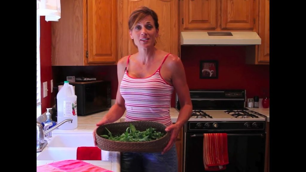 CaliKim: Preserving Your Harvest- How to Dry Basil Preserving Your Harvest- How to Dry Basil