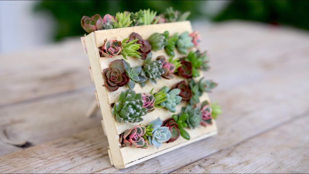 Popsicle Stick Mini Pallet w/ Succulents // Garden Answer