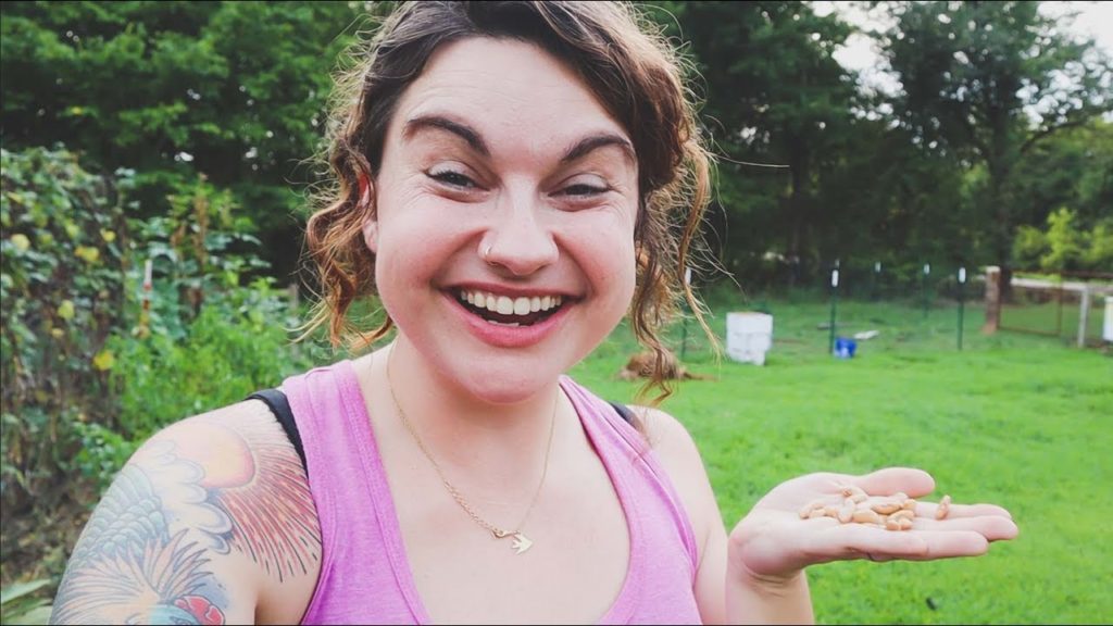 Roots and Refuge Farm: Tearing Out the Garden (and a Drone Conundrum) | VLOG | Roots and Refuge Tearing Out the Garden (and a Drone Conundrum) | VLOG | Roots and Refuge