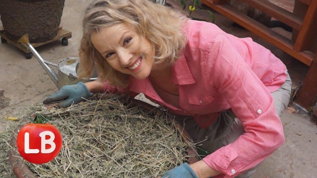 Growing Garlic in an Urban Garden | Late Bloomer | Episode 9