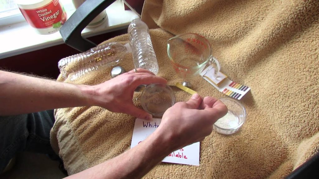 Gary Pilarchik: How to Prepare Eggshells for Use in the Garden: Vinegar & Blossom End Rot – The Rusted Garden 2014 How to Prepare Eggshells for Use in the Garden: Vinegar & Blossom End Rot - The Rusted Garden 2014