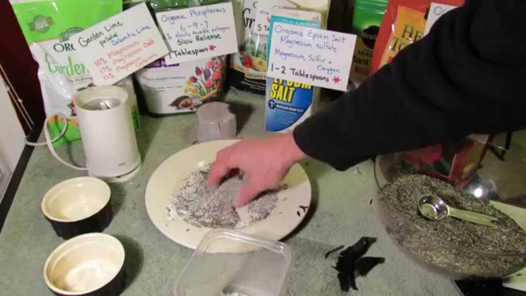 Gary Pilarchik: Making Banana Peel & Eggshell Garden Fertilizer: Potassium, Calcium, Phosphorous & More – MFG 2014 Making Banana Peel & Eggshell Garden Fertilizer: Potassium, Calcium, Phosphorous & More - MFG 2014