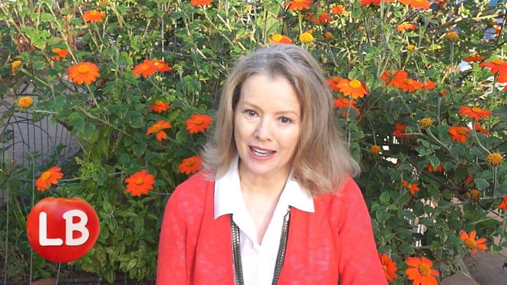 Kaye Kittrell: Grow Mexican Sunflower and Attract Monarchs | Late Bloomer | Episode 17 Grow Mexican Sunflower and Attract Monarchs | Late Bloomer | Episode 17