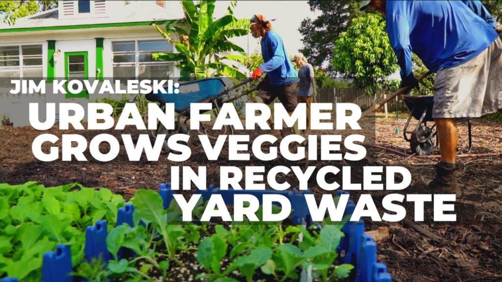 Front Yard Market Gardening: Changing Seasons With New Crops!