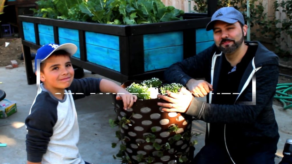 California Garden TV: Build a strawberry tower out of a laundry basket! Build a strawberry tower out of a laundry basket!