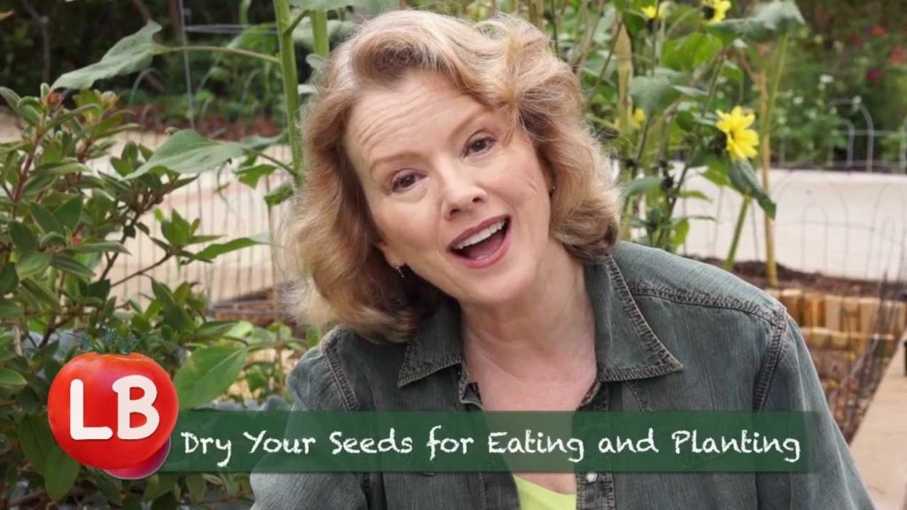 Kaye Kittrell: Growing Sunflowers | Late Bloomer | Episode 11 Growing Sunflowers | Late Bloomer | Episode 11