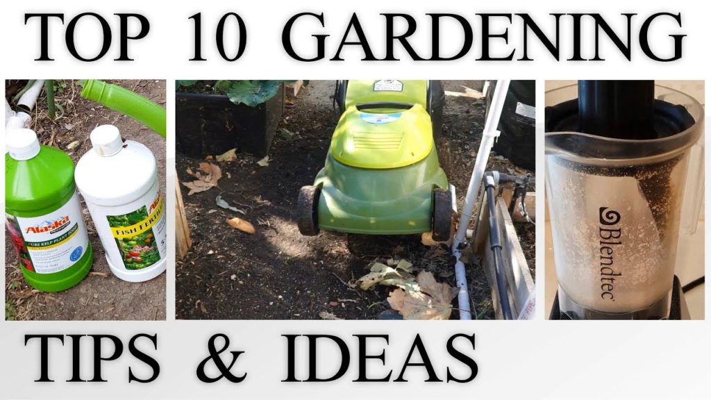 California Gardening: 10 Gardening Tips & Ideas every gardener should know – Garden Tips & Advice! 10 Gardening Tips & Ideas every gardener should know - Garden Tips & Advice!