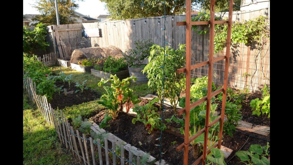 First Garden on a Budget |Kristen and Phillip Knight |Central Texas Gardener First Garden on a Budget |Kristen and Phillip Knight |Central Texas Gardener