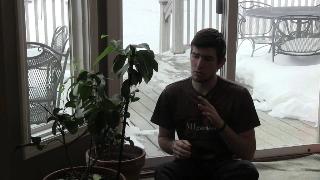 MIgardener: How To Water Citrus Trees To Prevent Yellowing and Leaf Drop How To Water Citrus Trees To Prevent Yellowing and Leaf Drop