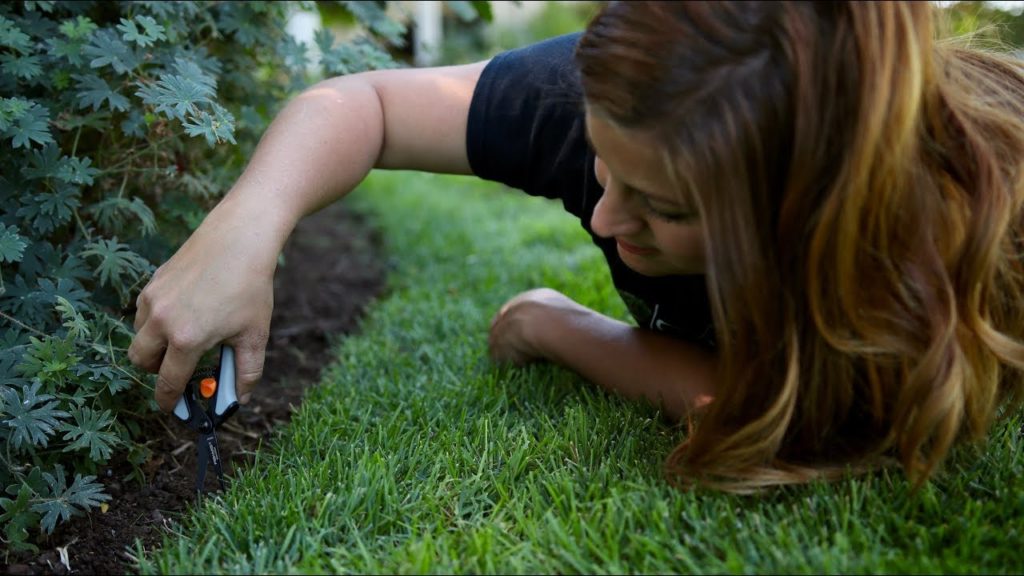 Garden Answer: How I Edge Grass 🌱// Garden Answer How I Edge Grass 🌱// Garden Answer