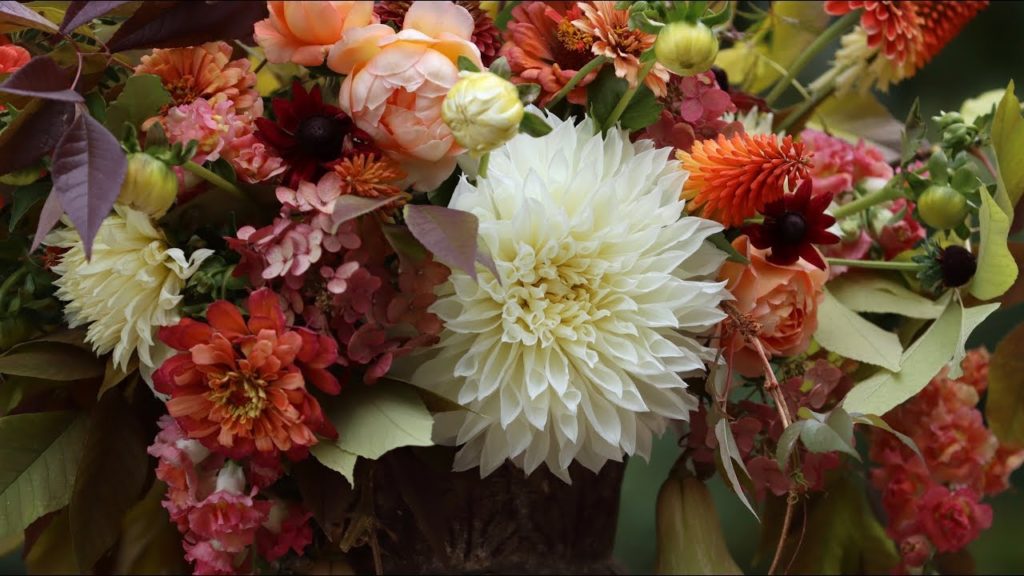 Garden Answer Highlights: Glorious Autumn! ๐๐๐(Foraged Arrangement) Glorious Autumn! ๐๐๐(Foraged Arrangement)