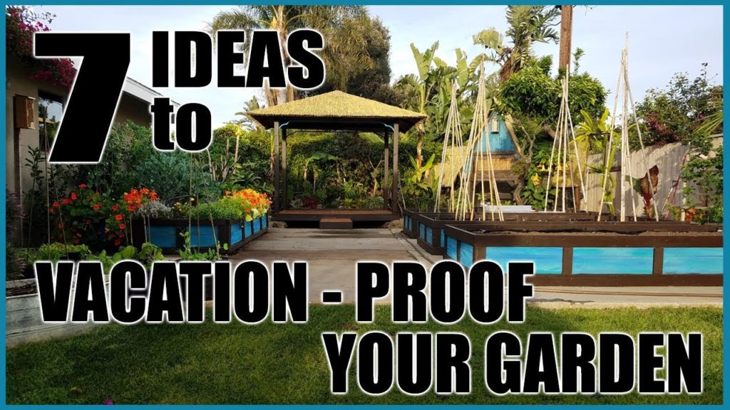 7 Ideas to Water Your Garden Plants While on Vacation