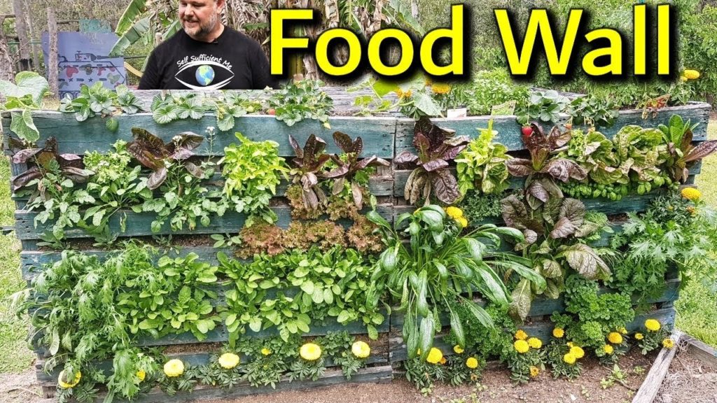 3 Gardening Upcycling Hacks for Growing in Small Spaces Ep4 S1 3 Gardening Upcycling Hacks for Growing in Small Spaces Ep4 S1