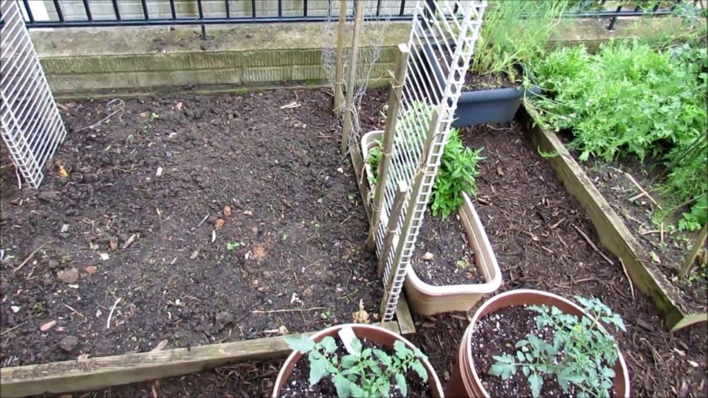 Trellising Options for Cucumbers, Beans, Zucchini, Squash & Melons: Grow Vertically & Save Space!