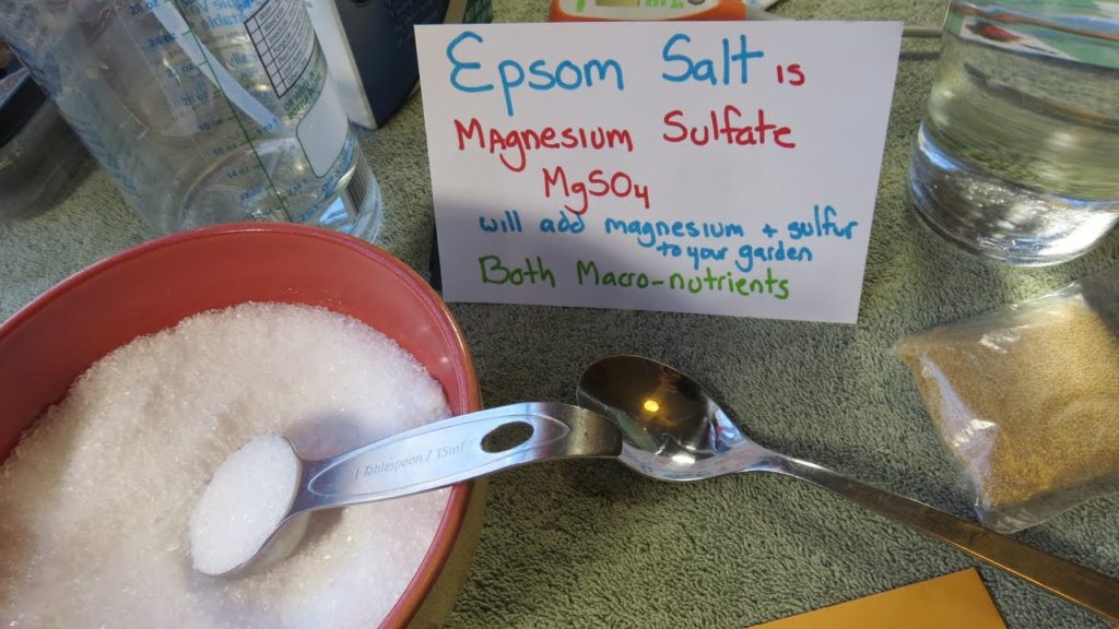 Gary Pilarchik: MFG 2015: Why & How to Use Epsom Salt in Your Vegetable Garden: Recipes! A Foliar Feed MFG 2015: Why & How to Use Epsom Salt in Your Vegetable Garden: Recipes! A Foliar Feed