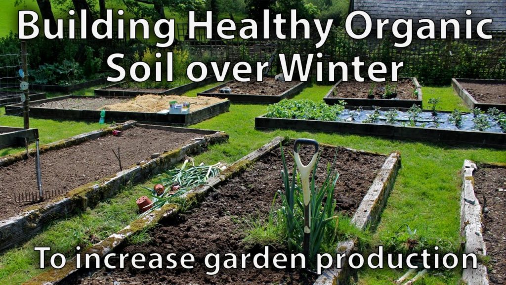 Huw Richards: How to Build Soil over Winter Ready for Spring to Grow Amazing Vegetables How to Build Soil over Winter Ready for Spring to Grow Amazing Vegetables