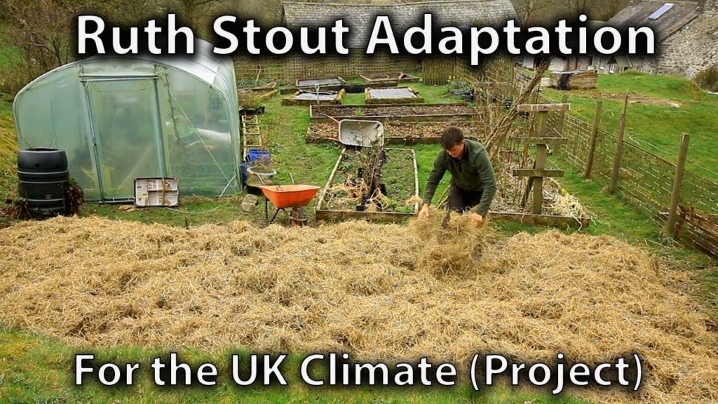 New Project: Adapting the Ruth Stout Method for the UK Climate