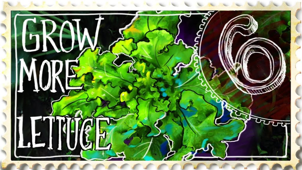 How to Grow More Lettuce - Suburban Homestead EP6