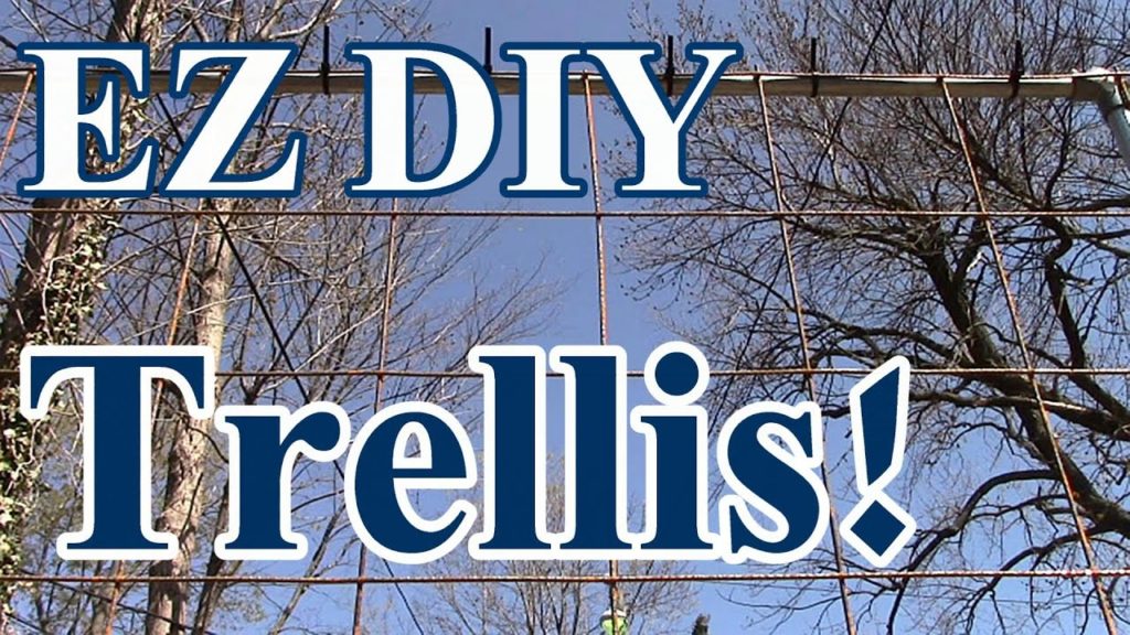2 Min Tip: EZ DIY Trellis to Grow Tomatoes, Watermelon, Squash & Pumpkins Vertically