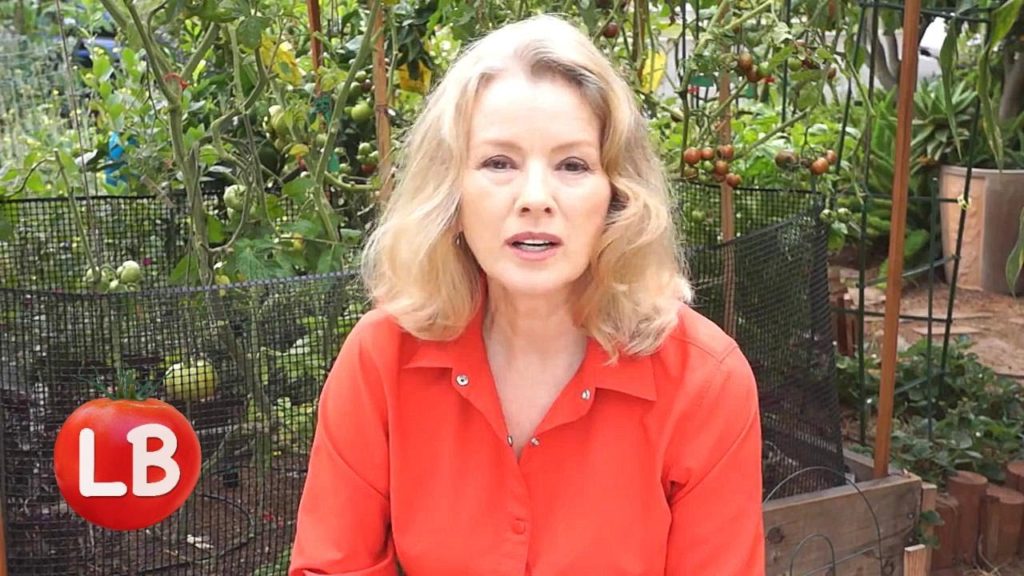 Kaye Kittrell: Growing Heirloom Tomatoes – Part 5 of 5 | Late Bloomer | Episode 16 Growing Heirloom Tomatoes - Part 5 of 5 | Late Bloomer | Episode 16