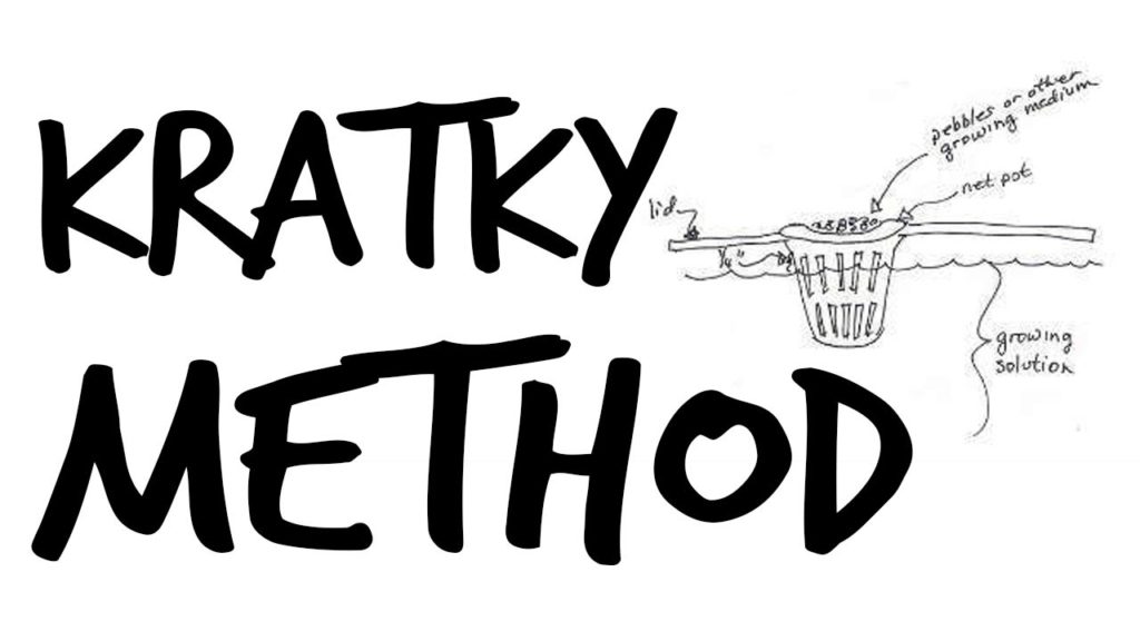How to Set Up The Kratky Hydroponics Method (Tutorial)