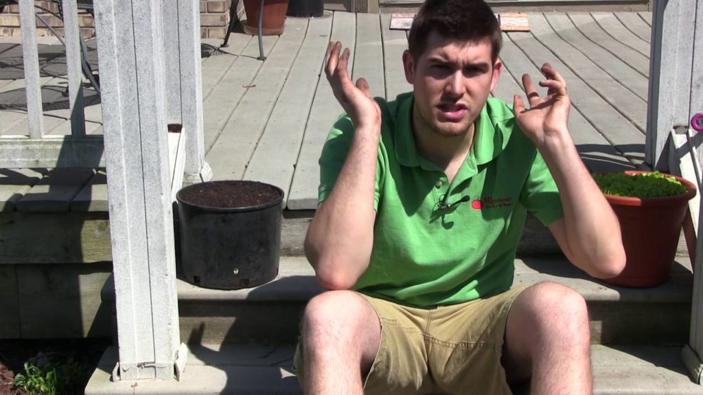 MIgardener: How to Grow Carrots in Containers – Complete Growing Guide How to Grow Carrots in Containers - Complete Growing Guide