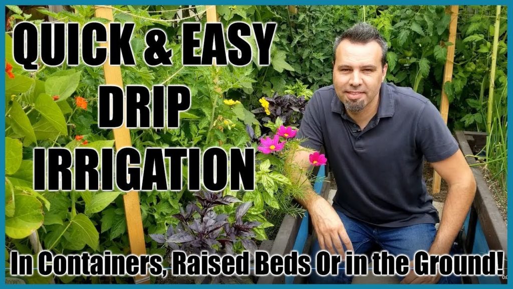 California Garden TV: Quick & Easy Drip Irrigation System for Raised Beds, Containers & In Ground Beds. Quick & Easy Drip Irrigation System for Raised Beds, Containers & In Ground Beds.