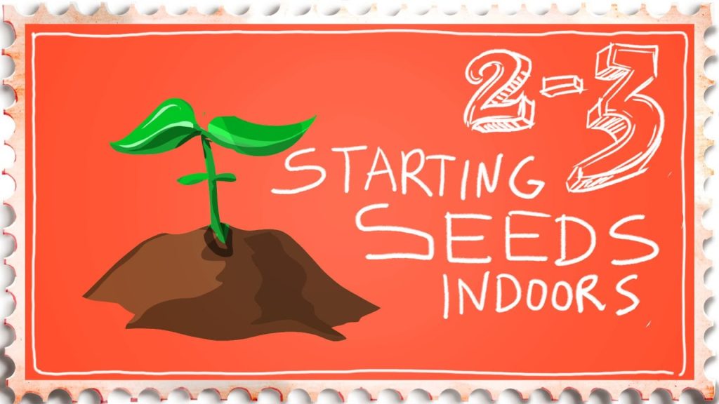 How to Start Seeds Indoors Successfully