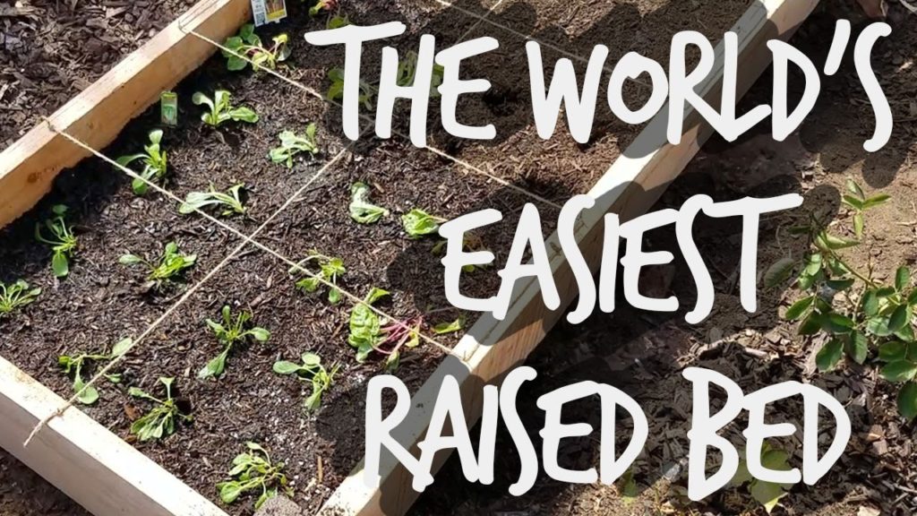 Epic Gardening: How to Build Cheap, DIY Raised Garden Beds In Under 30 Minutes How to Build Cheap, DIY Raised Garden Beds In Under 30 Minutes