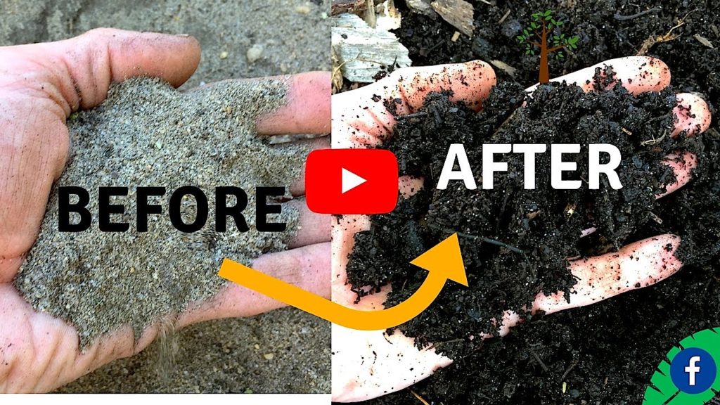 James Prigioni: 5 TIPS FOR BUILDING PERFECT HEALTHY SOIL FOR FREE 5 TIPS FOR BUILDING PERFECT HEALTHY SOIL FOR FREE