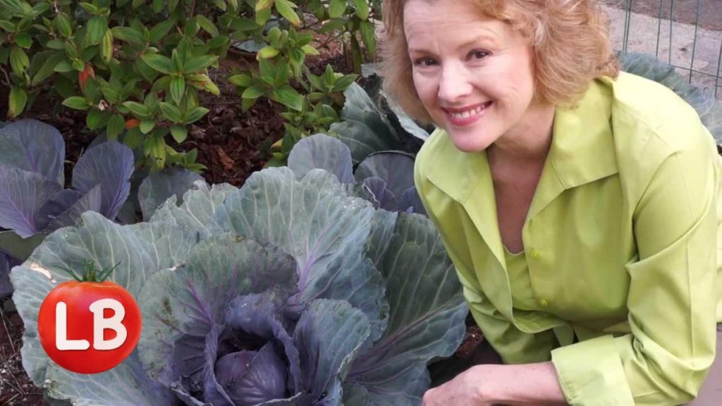 Kaye Kittrell: Growing Purple Cabbage | Late Bloomer | Episode 8 Growing Purple Cabbage | Late Bloomer | Episode 8