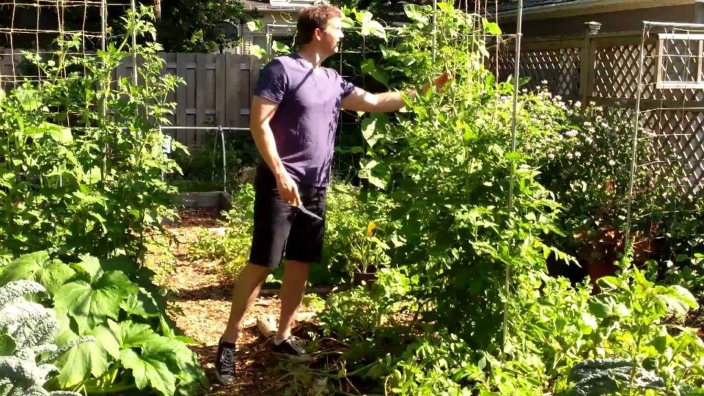 Chop N' Drop Your Way To A Better Garden