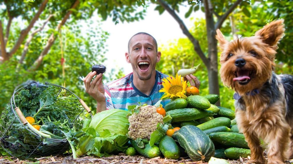 James Prigioni: Backyard Garden HARVEST, YOU Can Do THIS!! Backyard Garden HARVEST, YOU Can Do THIS!!