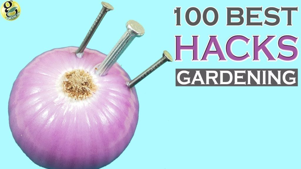 100 Best GARDENING IDEAS & HACKS by Garden Tips - Beginners to Experts