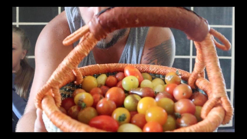 Dehydrated Cherry Tomatoes | Roots & Refuge Kitchen