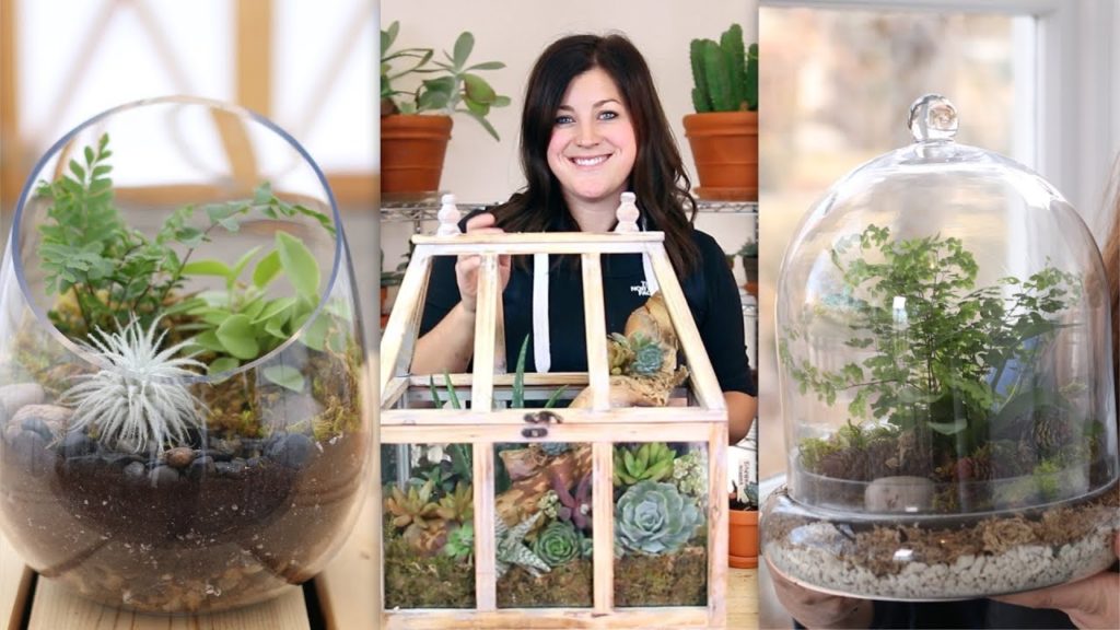 3 Ideas for Terrariums! 🌿