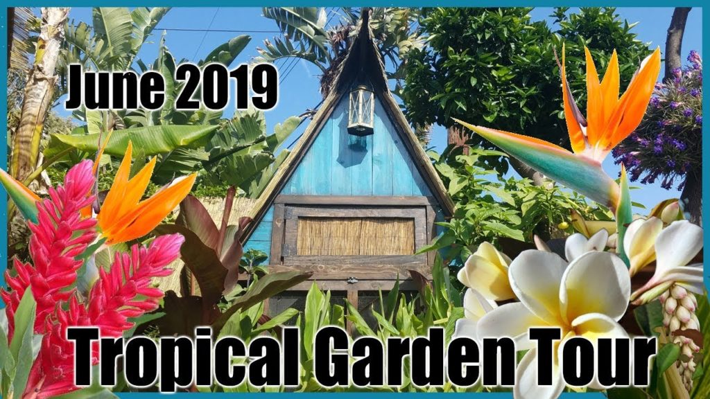 June Tropical Garden Tour with Plant IDs