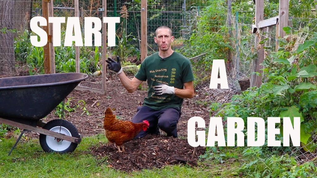 How to Start A Food Forest Garden! Organic Gardening How to Start A Food Forest Garden! Organic Gardening