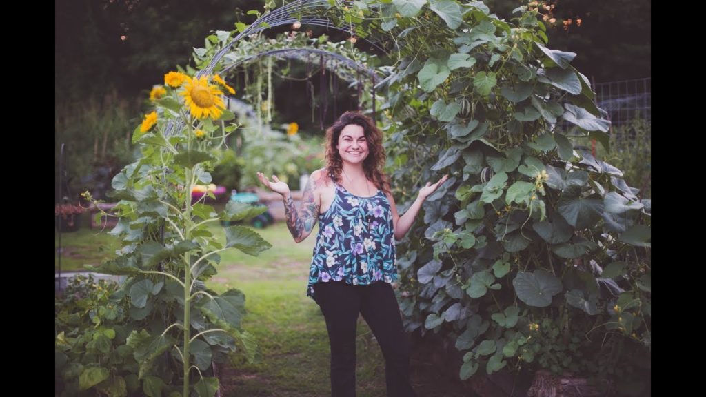 Roots and Refuge Farm: How to Build An Arched Trellis for 30 Dollars | Vertical Gardening How to Build An Arched Trellis for 30 Dollars | Vertical Gardening
