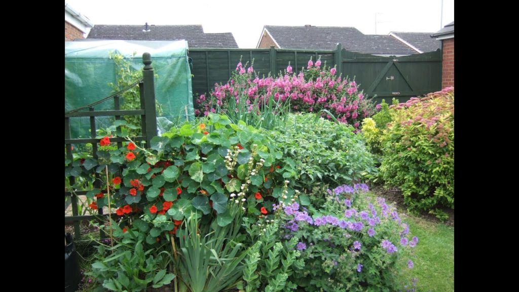 Gardening As A Retirement Hobby. The Small Garden Channel Gardening As A Retirement Hobby. The Small Garden Channel