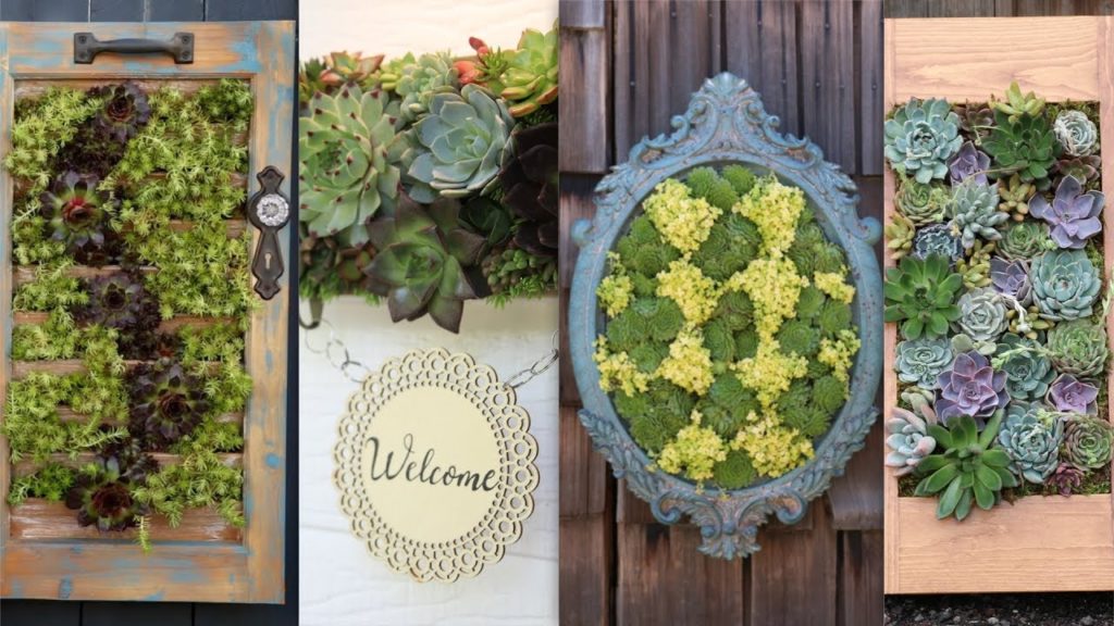 Garden Answer Highlights: 4 Vertical Succulent Arrangement Ideas! 🌿 4 Vertical Succulent Arrangement Ideas! 🌿