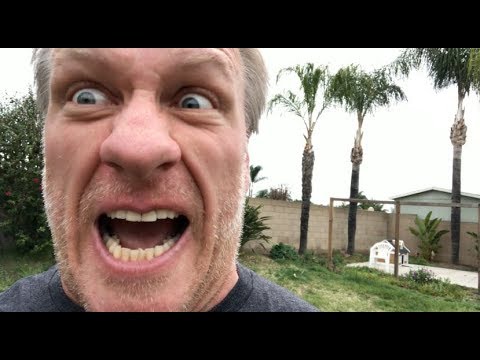 Jeb Gardener: Jeb tries Happy Leaf Jeb tries Happy Leaf