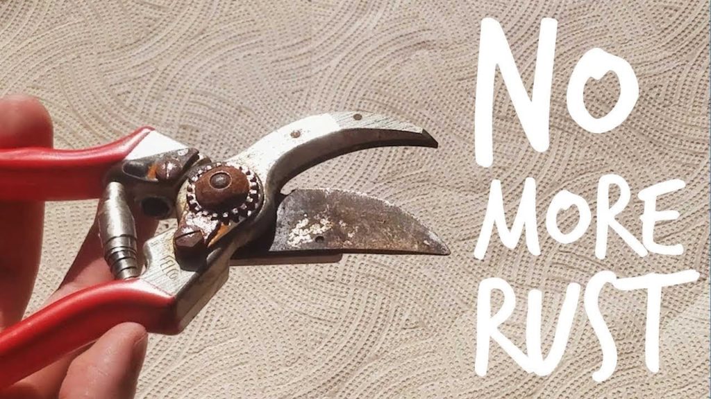 Epic Gardening: How to Remove Rust From Your Gardening Tools Easily! How to Remove Rust From Your Gardening Tools Easily!
