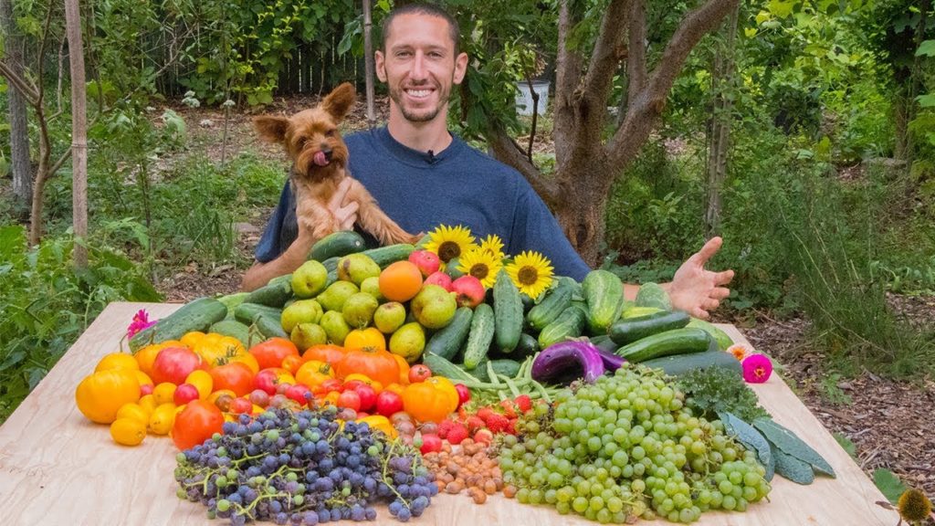 Backyard Gardening Harvest, The Best Food In The World Permaculture Food Forest